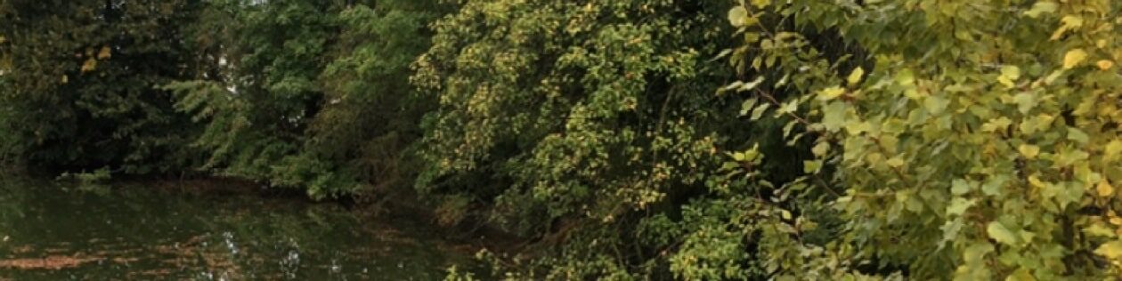 Coaching für Ruhe und Klarheit